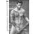 Pin-up Calendar Men 2027