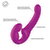 Tester SHARE LITE
