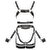 Leather Harness Set