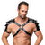 Leather Harness
