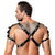 Leather Harness