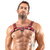 Chest Harness