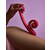 SVibe Curve