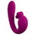 Vibrator With Double Rotation