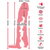 2in1 Extension & Masturbator RC