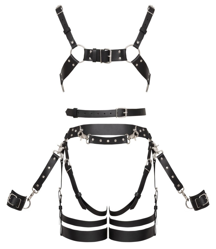 Leather Harness Set