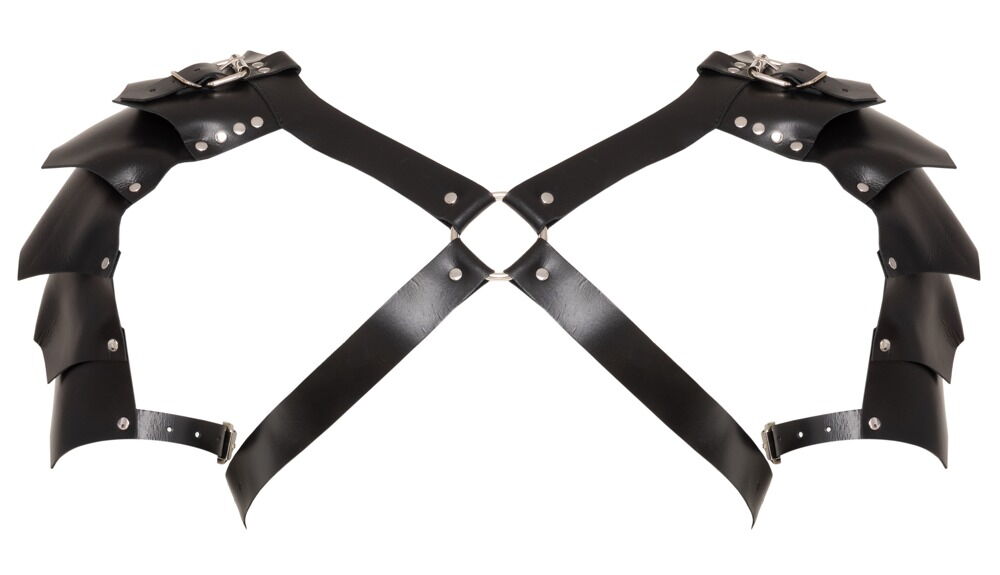 Leather Harness