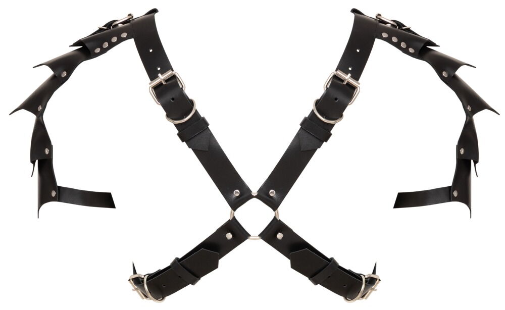 Leather Harness