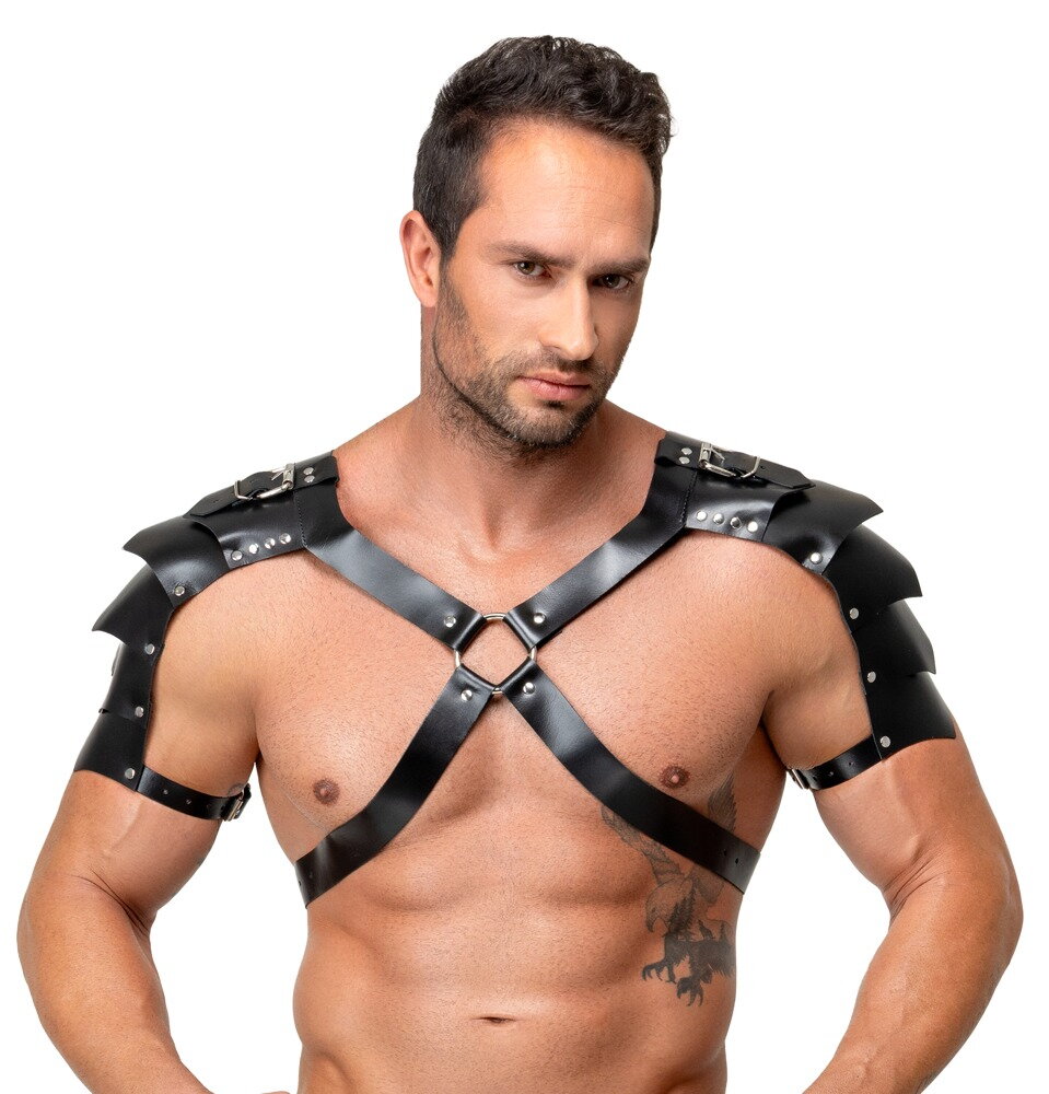 Leather Harness