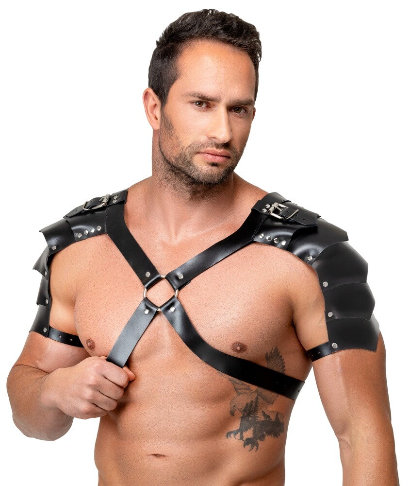 Leather Harness
