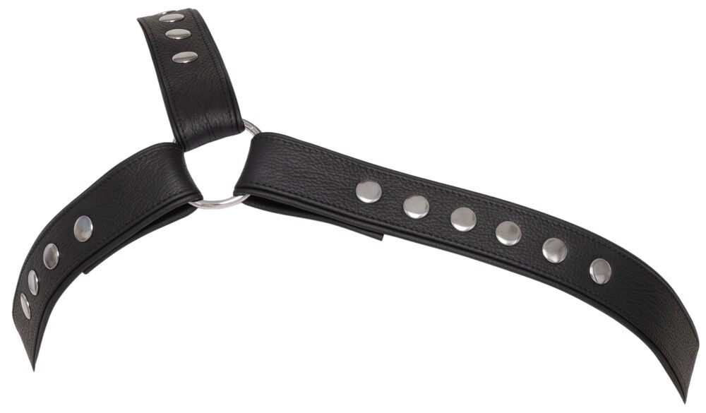 Brustharness aus Leder