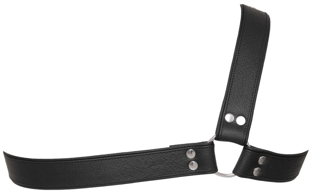 Brustharness aus Leder