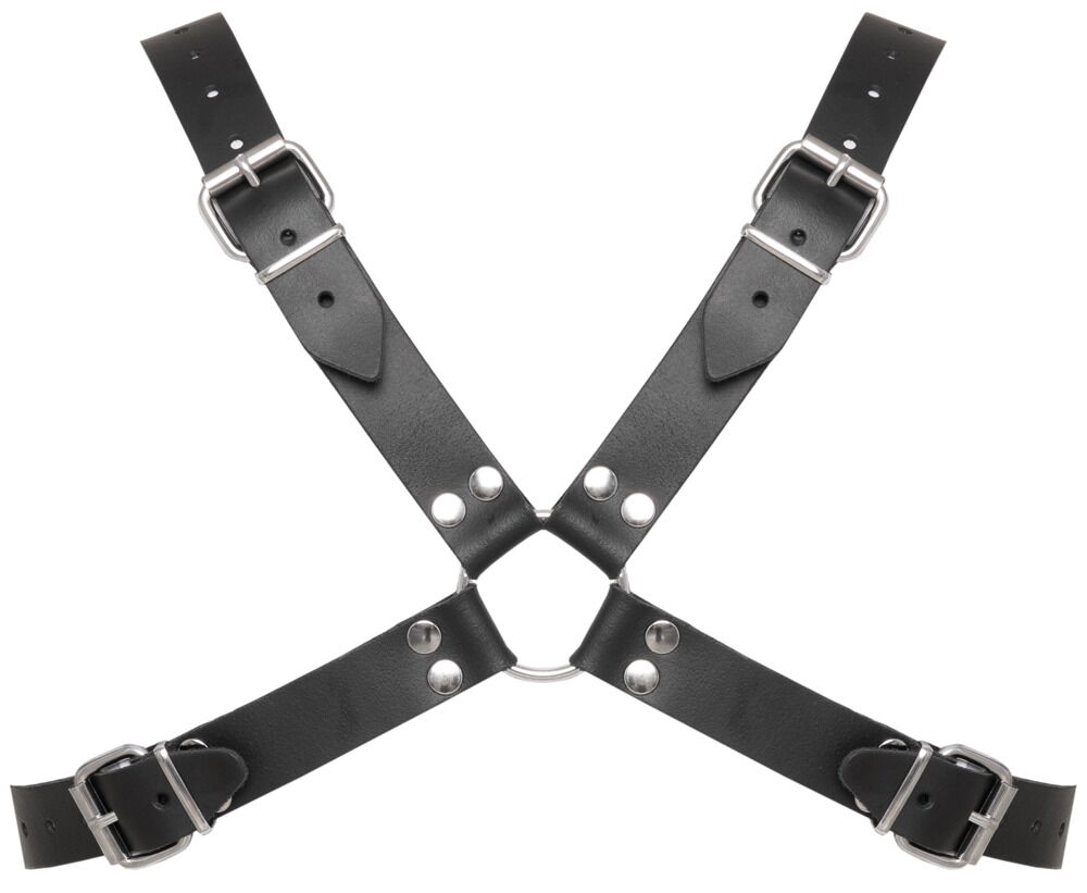 Brustharness aus Leder