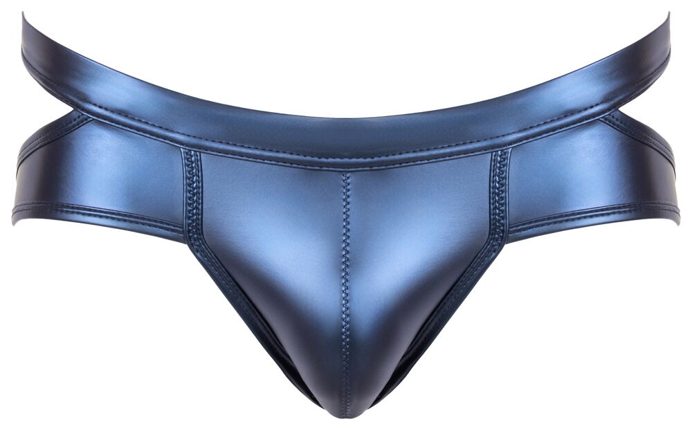 Briefs