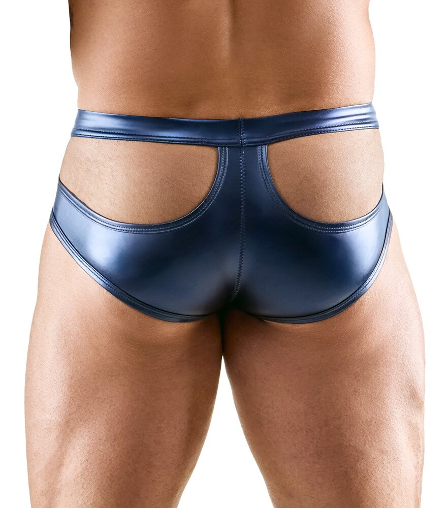 Briefs