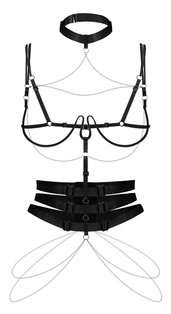 Harness Premisis