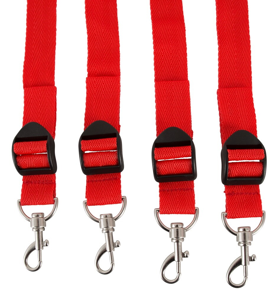 Bed Restraint Set