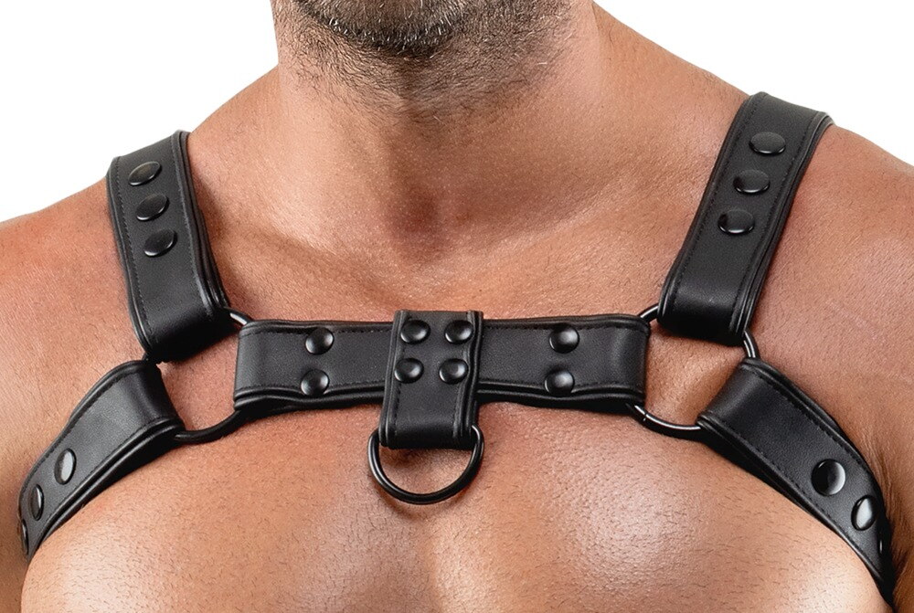 Chest Harness