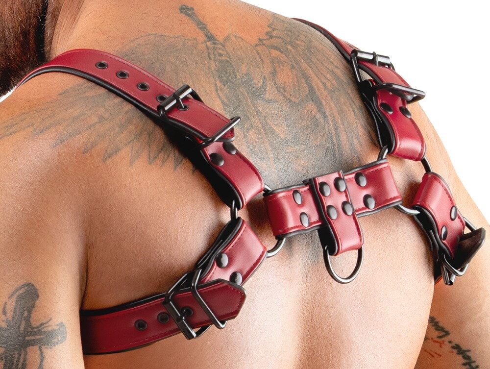 Chest Harness