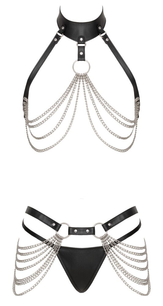 Harness-Set