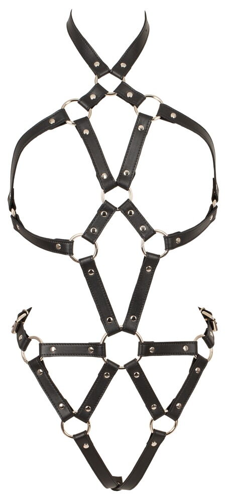 Harness