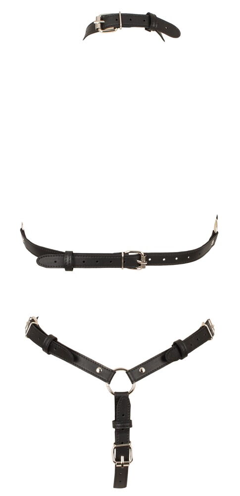 Harness
