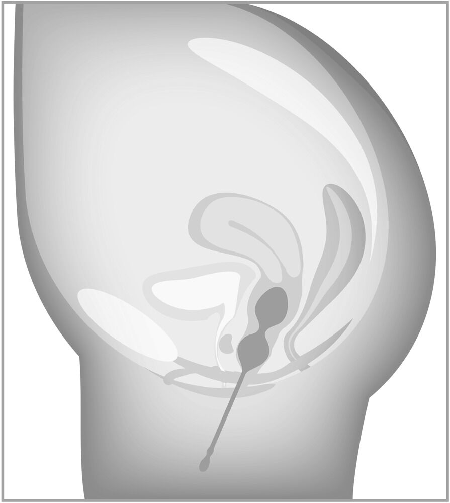 ELORIN Love Ball Training Set