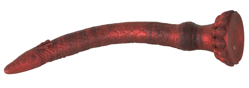 The Enormous Eel