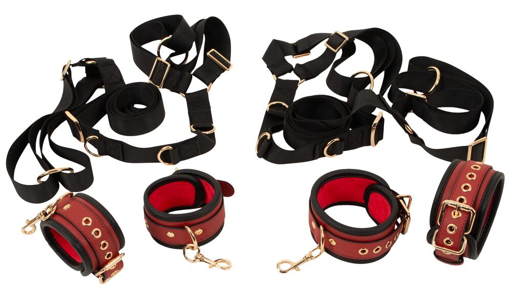 Bed/Door Restraint Set