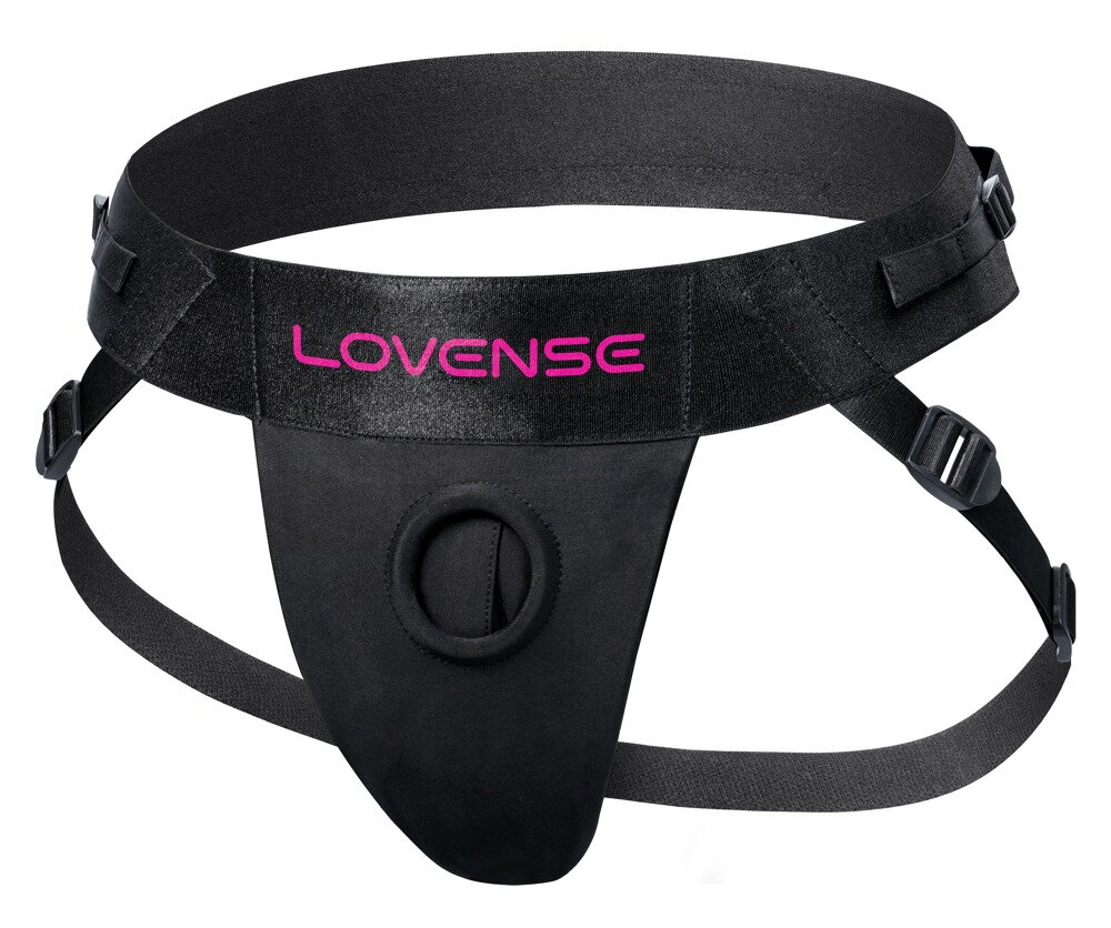 Harness