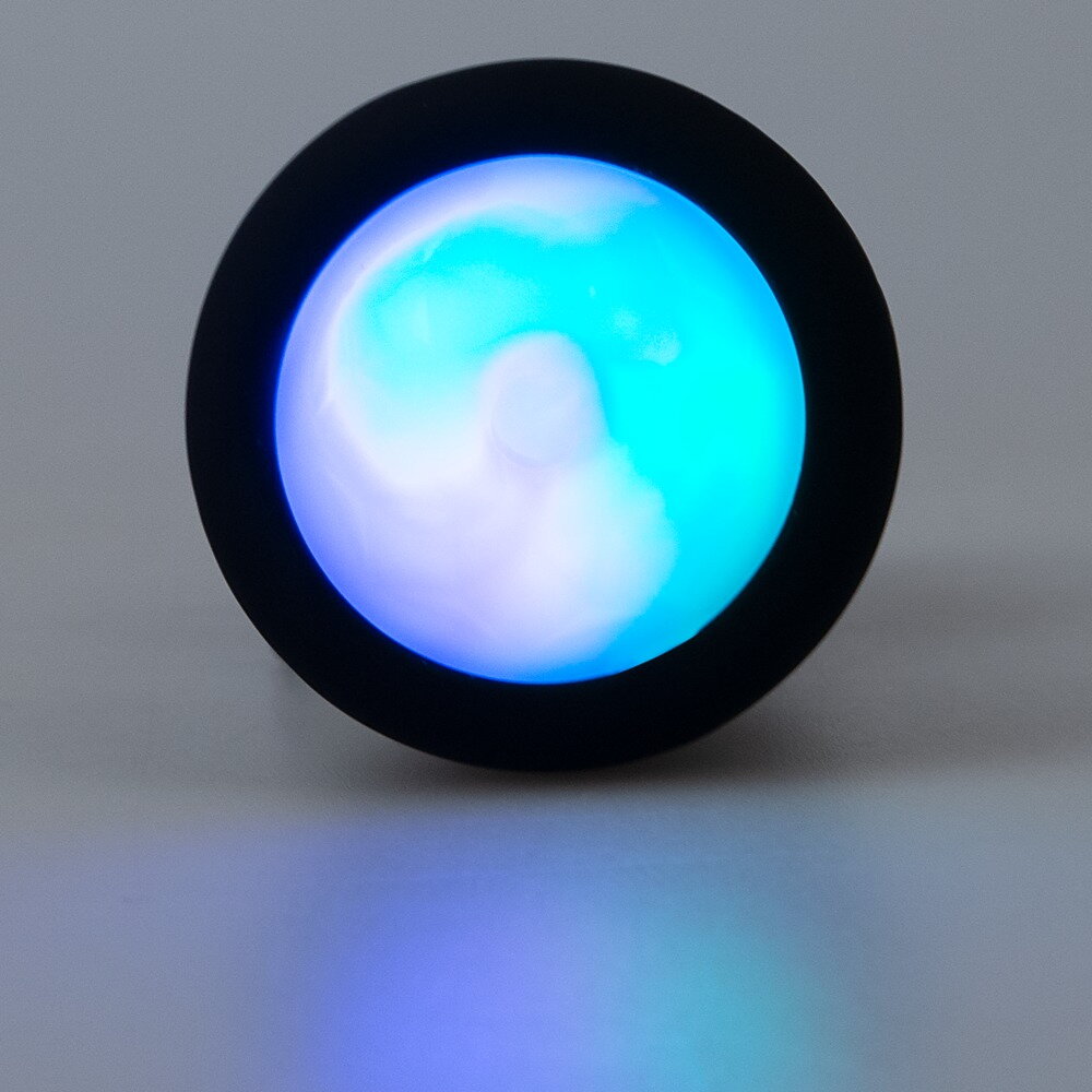 RC Flashing Butt Plug with Vibration