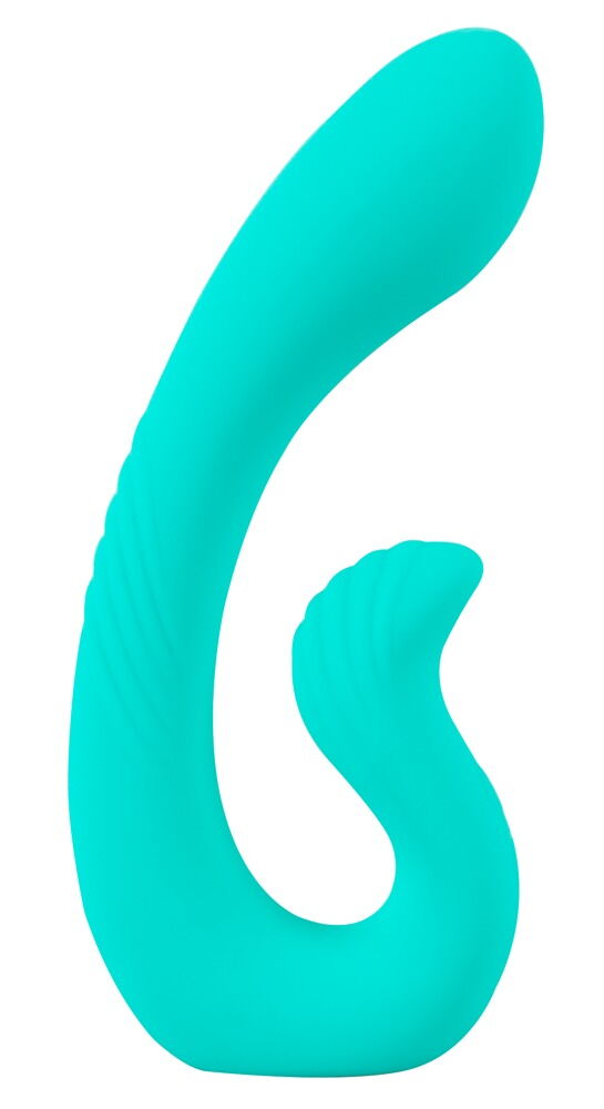 NAIRA Dual Heads Vibrator