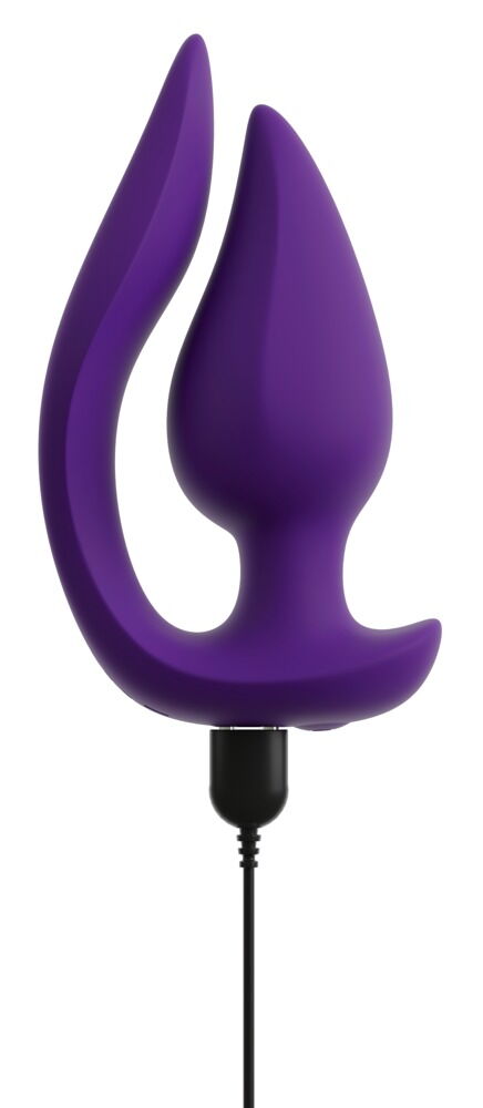 RC 2 in 1 Plug & Panty Vibe