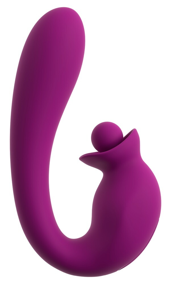 Vibrator With Double Rotation