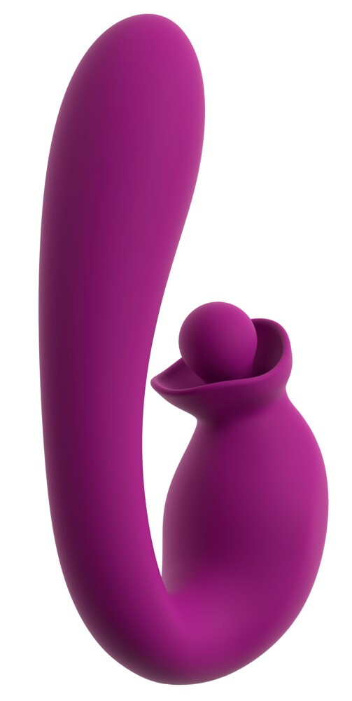 Vibrator With Double Rotation