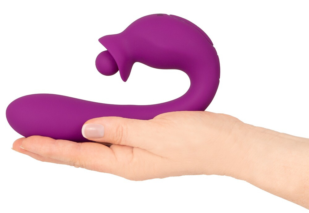 Vibrator With Double Rotation