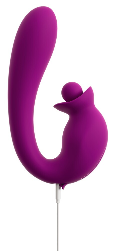 Vibrator With Double Rotation