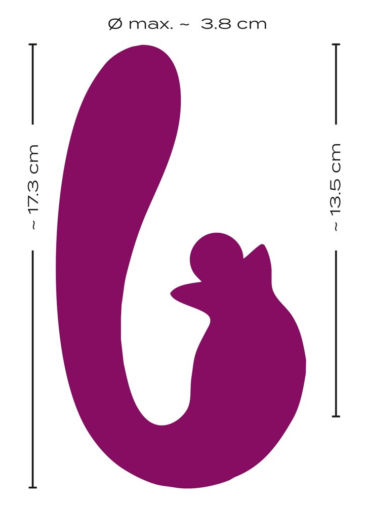Vibrator With Double Rotation